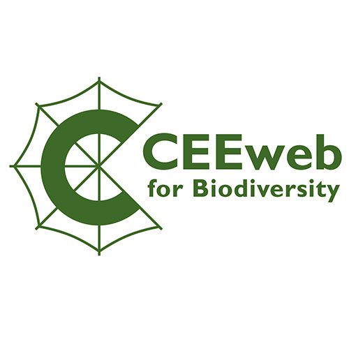 ceeweb-logo