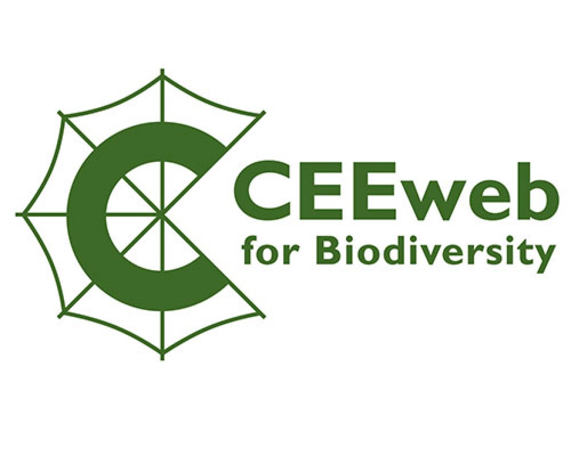 ceeweb-logo